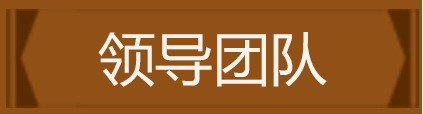 领导团队